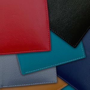 passport wallet colors