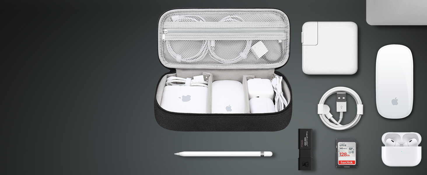 Electronic Organizer